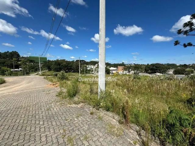 Terreno venda em Região Geográfica Imediata de Caxias do Sul, Caxias do Sul