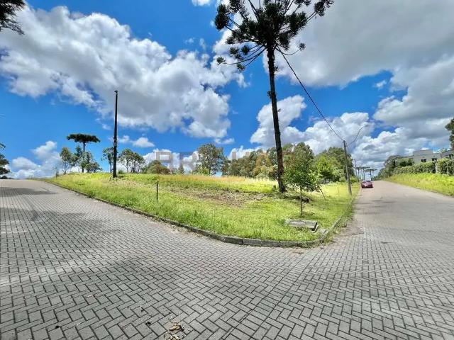 Terreno venda em Região Geográfica Imediata de Caxias do Sul, Caxias do Sul