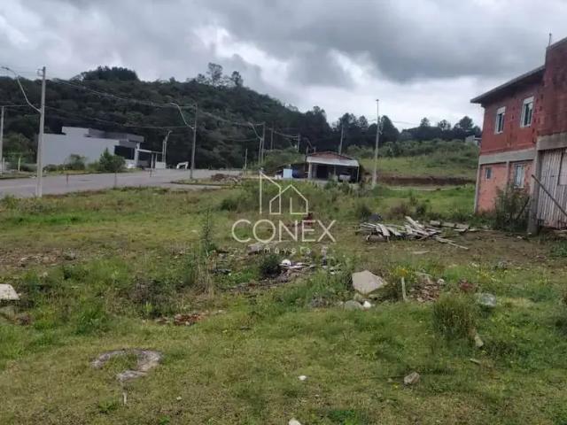Terreno venda em Caxias do Sul, Região Geográfica Intermediária de Caxias do Sul