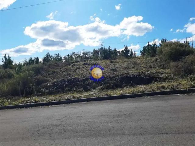 Terreno venda em Região Geográfica Imediata de Caxias do Sul, Caxias do Sul