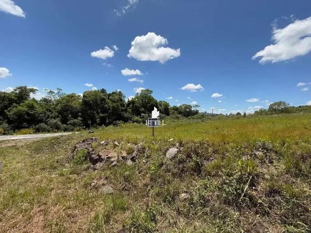 Terreno venda em Região Geográfica Imediata de Caxias do Sul, Caxias do Sul