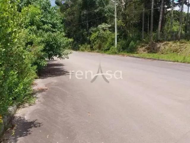 Terreno venda em Região Geográfica Imediata de Caxias do Sul, Caxias do Sul