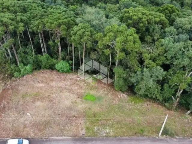 Terreno venda em Região Geográfica Imediata de Caxias do Sul, Caxias do Sul