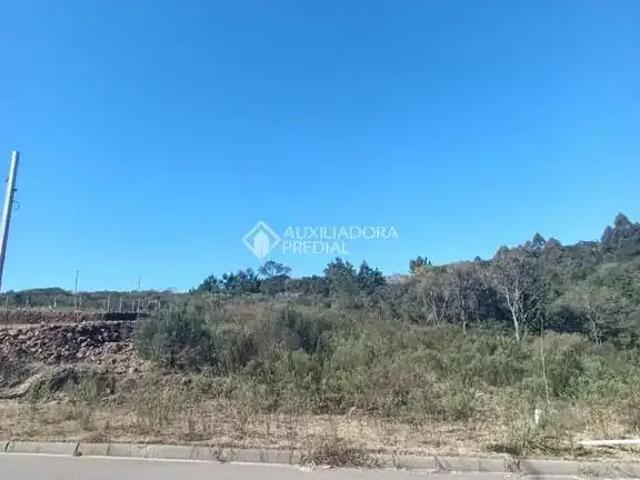 Terreno venda em Região Geográfica Imediata de Caxias do Sul, Caxias do Sul