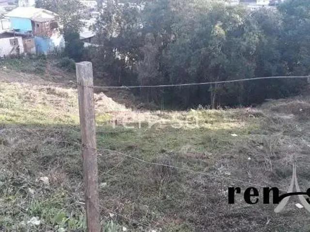 Terreno venda em Região Geográfica Imediata de Caxias do Sul, Caxias do Sul