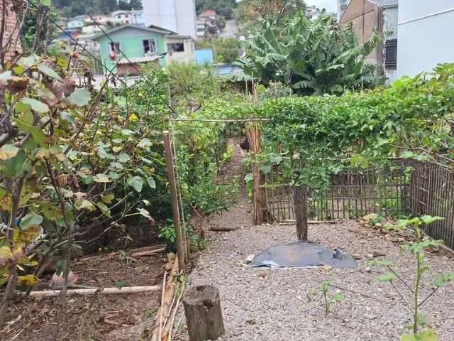 Terreno venda em Região Geográfica Imediata de Caxias do Sul, Caxias do Sul