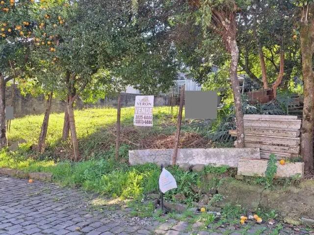 Terreno venda em Região Geográfica Imediata de Caxias do Sul, Caxias do Sul