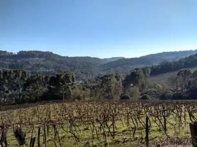 Terreno venda em Região Geográfica Imediata de Caxias do Sul, Caxias do Sul