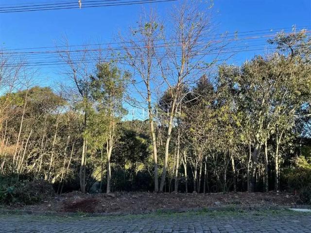 Terreno venda em Região Geográfica Imediata de Caxias do Sul, Caxias do Sul