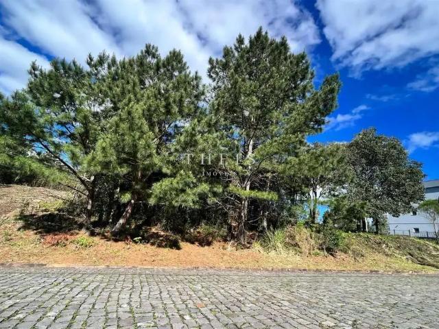 Terreno venda em Região Geográfica Imediata de Caxias do Sul, Caxias do Sul
