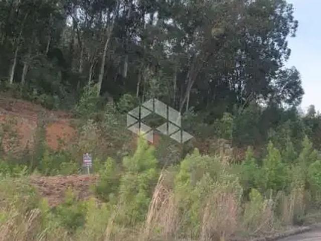 Terreno venda em Região Geográfica Imediata de Caxias do Sul, Caxias do Sul