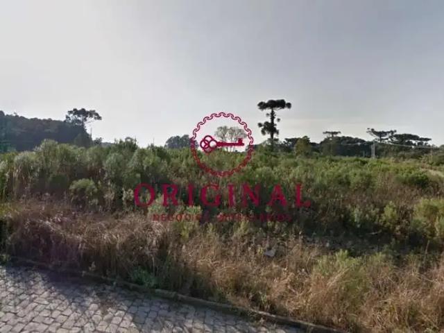 Terreno venda em Região Geográfica Imediata de Caxias do Sul, Caxias do Sul