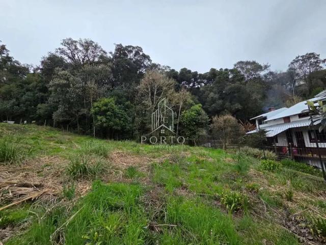Terreno venda em Região Geográfica Imediata de Caxias do Sul, Caxias do Sul