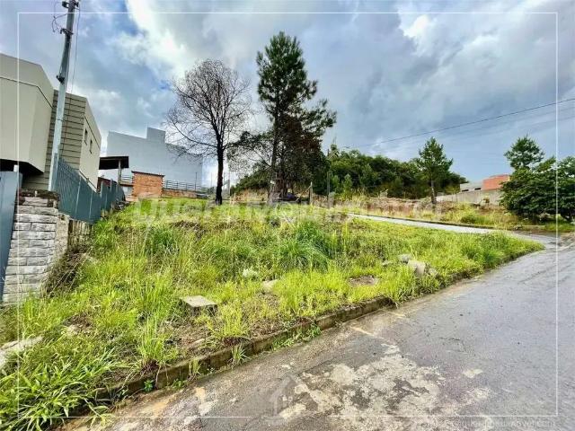 Terreno venda em Região Geográfica Imediata de Caxias do Sul, Caxias do Sul