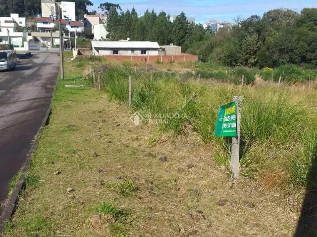 Terreno venda em Primeiro Distrito, Caxias do Sul