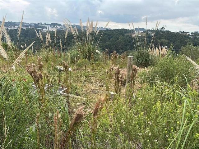 Terreno venda em Caxias do Sul, Região Geográfica Intermediária de Caxias do Sul