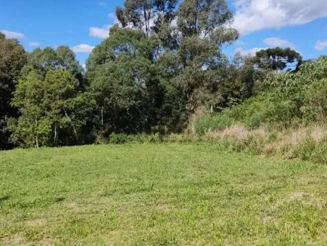 Terreno venda em Região Geográfica Imediata de Caxias do Sul, Caxias do Sul