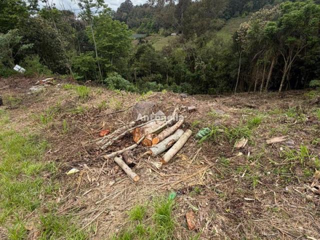 Terreno venda em Caxias do Sul, Região Geográfica Intermediária de Caxias do Sul