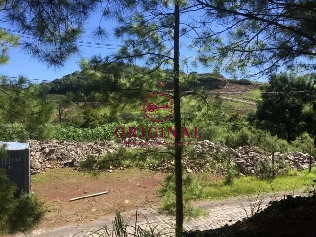 Terreno venda em Região Geográfica Imediata de Caxias do Sul, Caxias do Sul