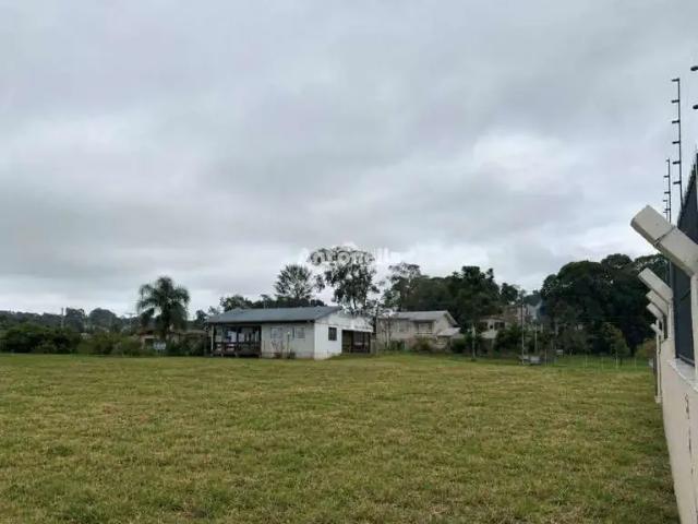 Terreno venda em Região Geográfica Imediata de Caxias do Sul, Caxias do Sul