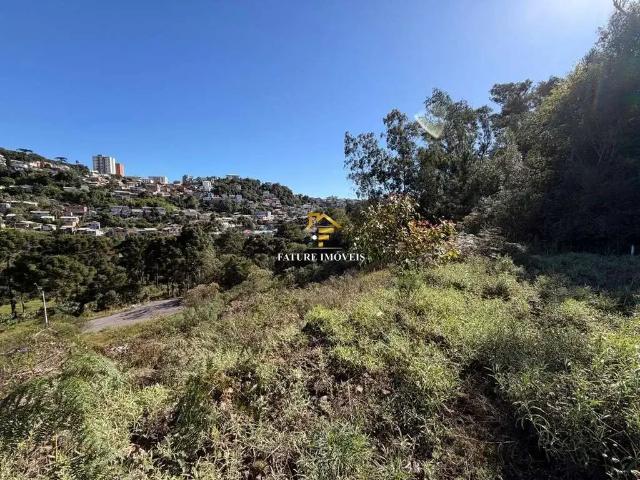 Terreno venda em Região Geográfica Imediata de Caxias do Sul, Caxias do Sul