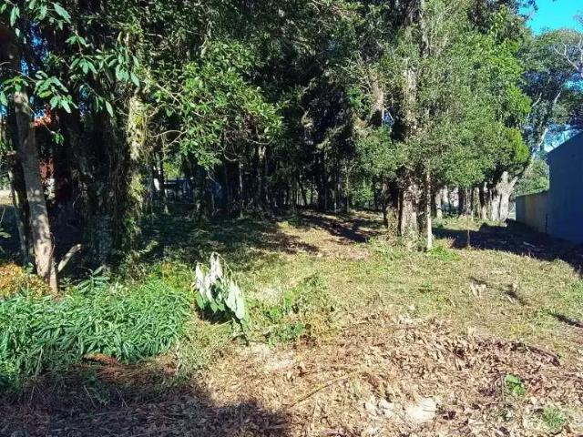 Terreno venda em Região Geográfica Imediata de Caxias do Sul, Caxias do Sul