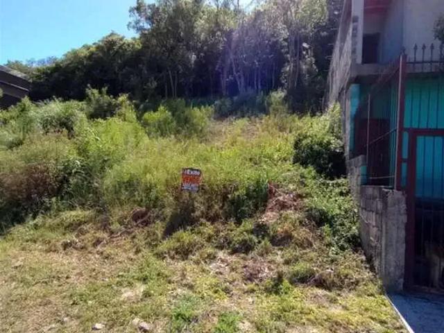 Terreno venda em Região Geográfica Imediata de Caxias do Sul, Caxias do Sul
