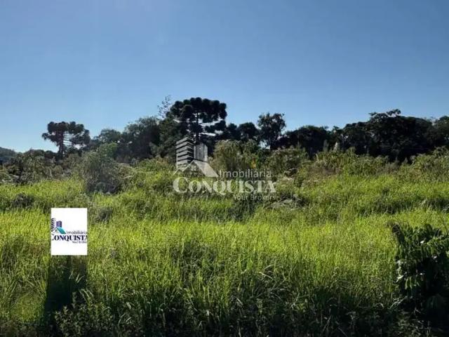 Terreno venda em Região Geográfica Imediata de Caxias do Sul, Caxias do Sul