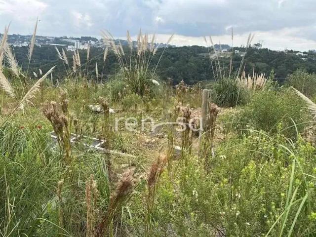 Terreno venda em Região Geográfica Imediata de Caxias do Sul, Caxias do Sul