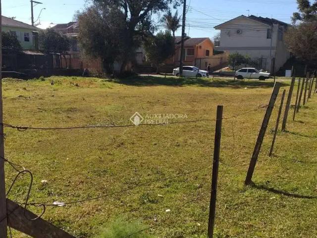 Terreno venda em Região Geográfica Imediata de Caxias do Sul, Caxias do Sul