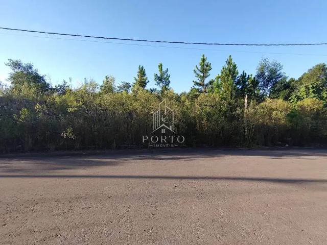 Terreno venda em Região Geográfica Imediata de Caxias do Sul, Caxias do Sul