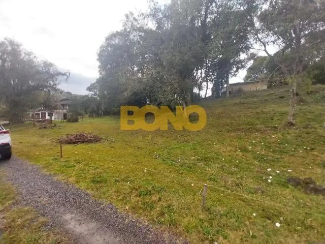 Terreno venda em Região Geográfica Imediata de Caxias do Sul, Caxias do Sul