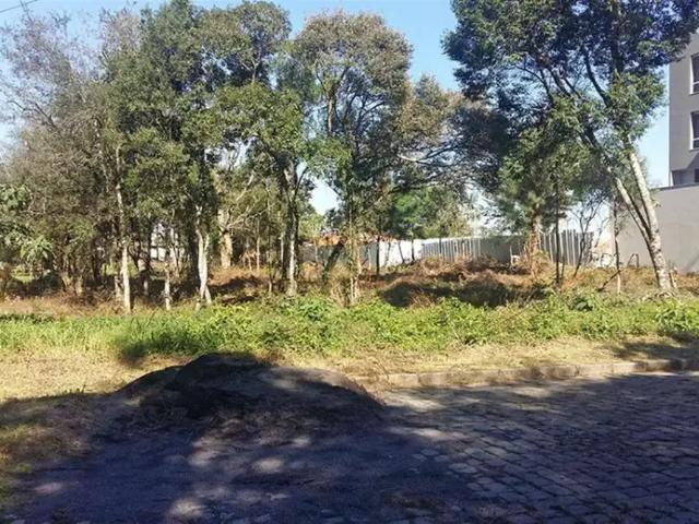 Terreno venda em Região Geográfica Imediata de Caxias do Sul, Caxias do Sul