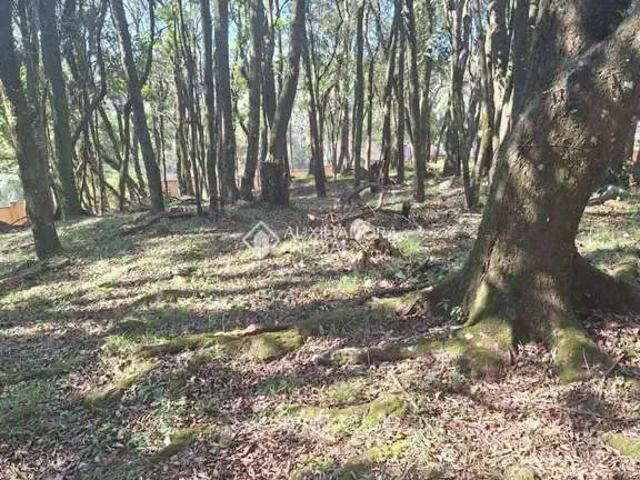 Terreno venda em Região Geográfica Imediata de Caxias do Sul, Caxias do Sul