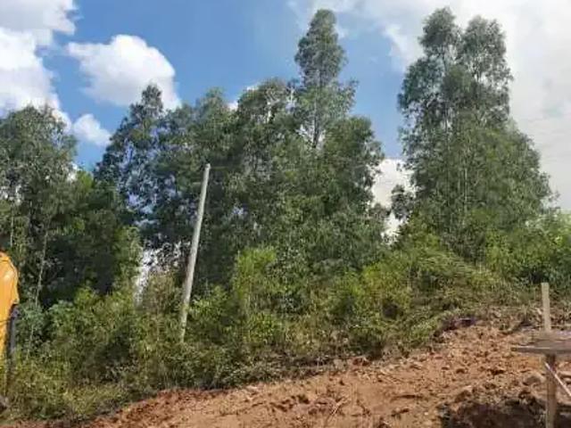 Terreno venda em Região Geográfica Imediata de Caxias do Sul, Caxias do Sul