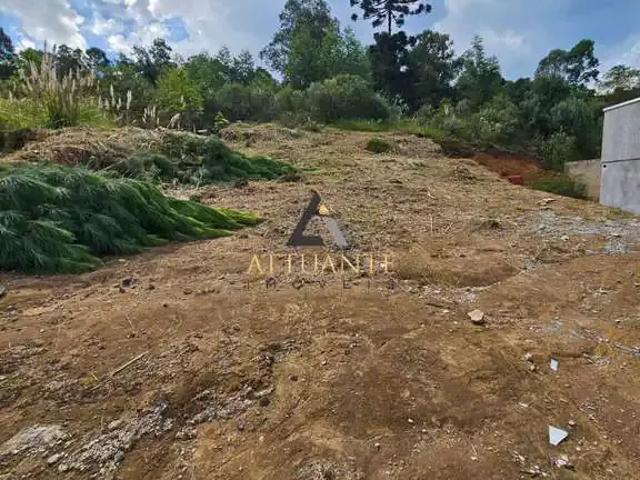 Terreno venda em Região Geográfica Imediata de Caxias do Sul, Caxias do Sul
