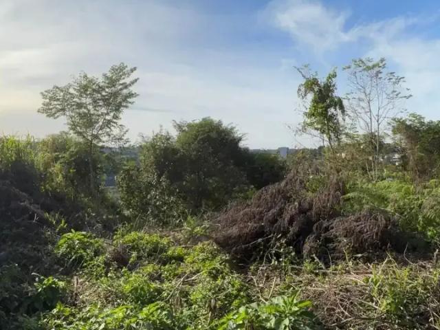 Terreno venda em Região Geográfica Imediata de Caxias do Sul, Caxias do Sul