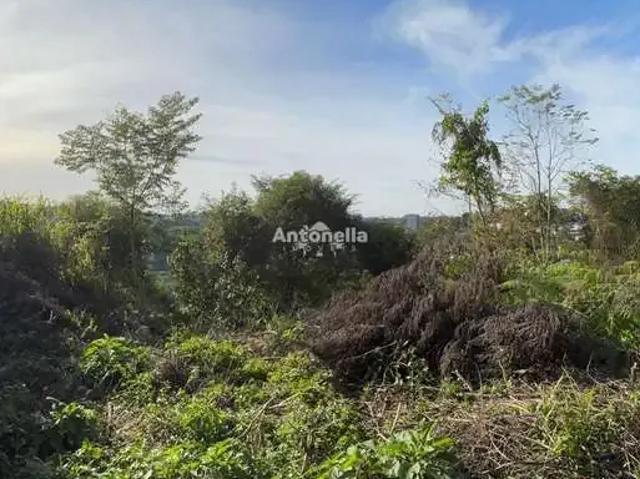 Terreno venda em Região Geográfica Imediata de Caxias do Sul, Caxias do Sul