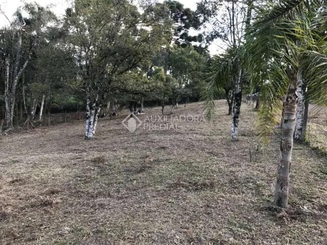 Terreno venda em Região Geográfica Imediata de Caxias do Sul, Caxias do Sul