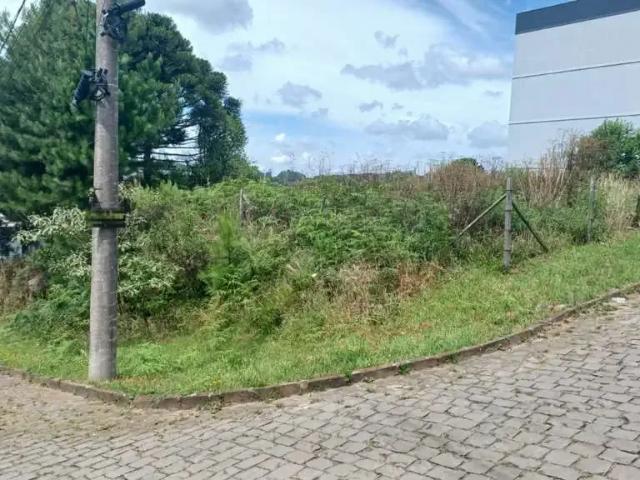 Terreno venda em Região Geográfica Imediata de Caxias do Sul, Caxias do Sul