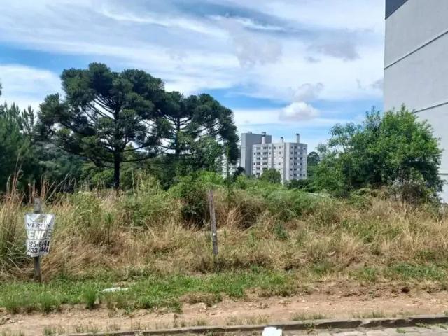 Terreno venda em Região Geográfica Imediata de Caxias do Sul, Caxias do Sul