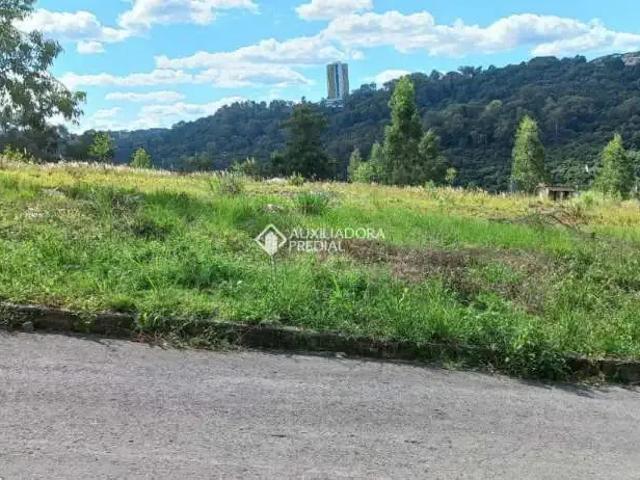Terreno venda em Região Geográfica Imediata de Caxias do Sul, Caxias do Sul
