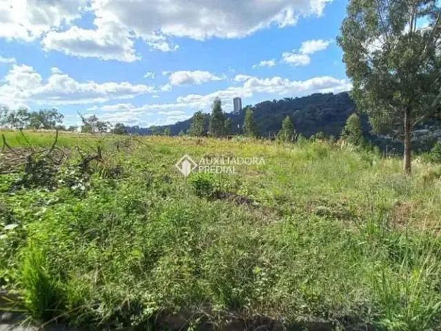 Terreno venda em Região Geográfica Imediata de Caxias do Sul, Caxias do Sul