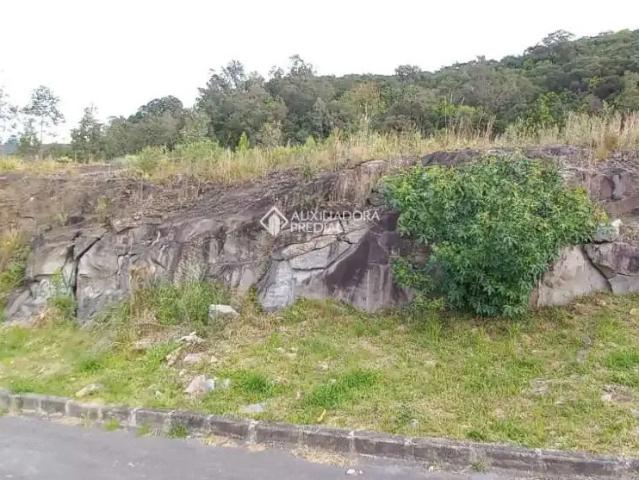 Terreno venda em Região Geográfica Imediata de Caxias do Sul, Caxias do Sul