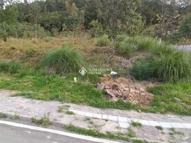 Terreno venda em Região Geográfica Imediata de Caxias do Sul, Caxias do Sul