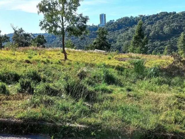 Terreno venda em Região Geográfica Imediata de Caxias do Sul, Caxias do Sul