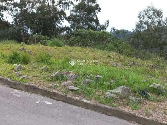 Terreno venda em Região Geográfica Imediata de Caxias do Sul, Caxias do Sul