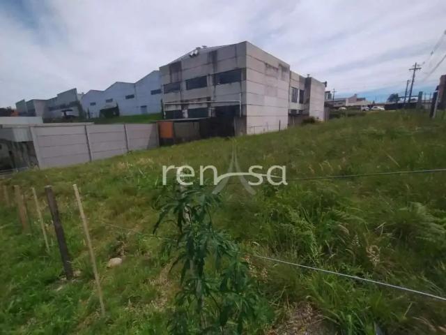 Terreno venda em Região Geográfica Imediata de Caxias do Sul, Caxias do Sul