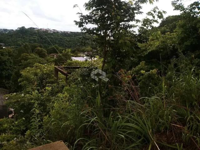 Terreno venda em Região Geográfica Imediata de Caxias do Sul, Caxias do Sul