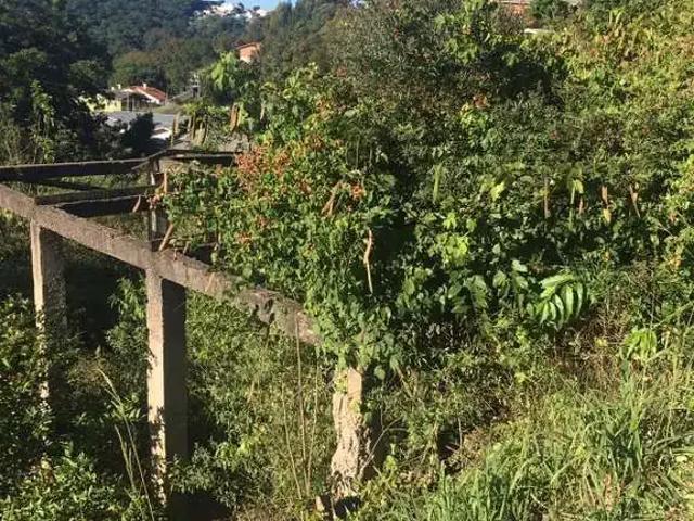 Terreno venda em Região Geográfica Imediata de Caxias do Sul, Caxias do Sul